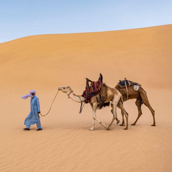 Balade à dos de dromadaire dans les dunes de Merzouga au coucher du soleil